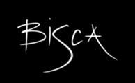 Bisca UK Ltd Logo
