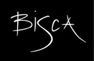 Bisca UK Ltd Logo