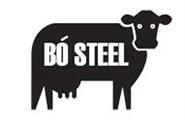 Bo Steel Ltd  Logo