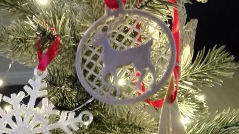 3D Printing Around the Home - Christmas Edition