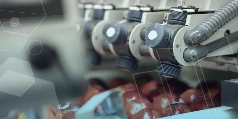 CASE STUDY Sinclair International Limited thumbnail